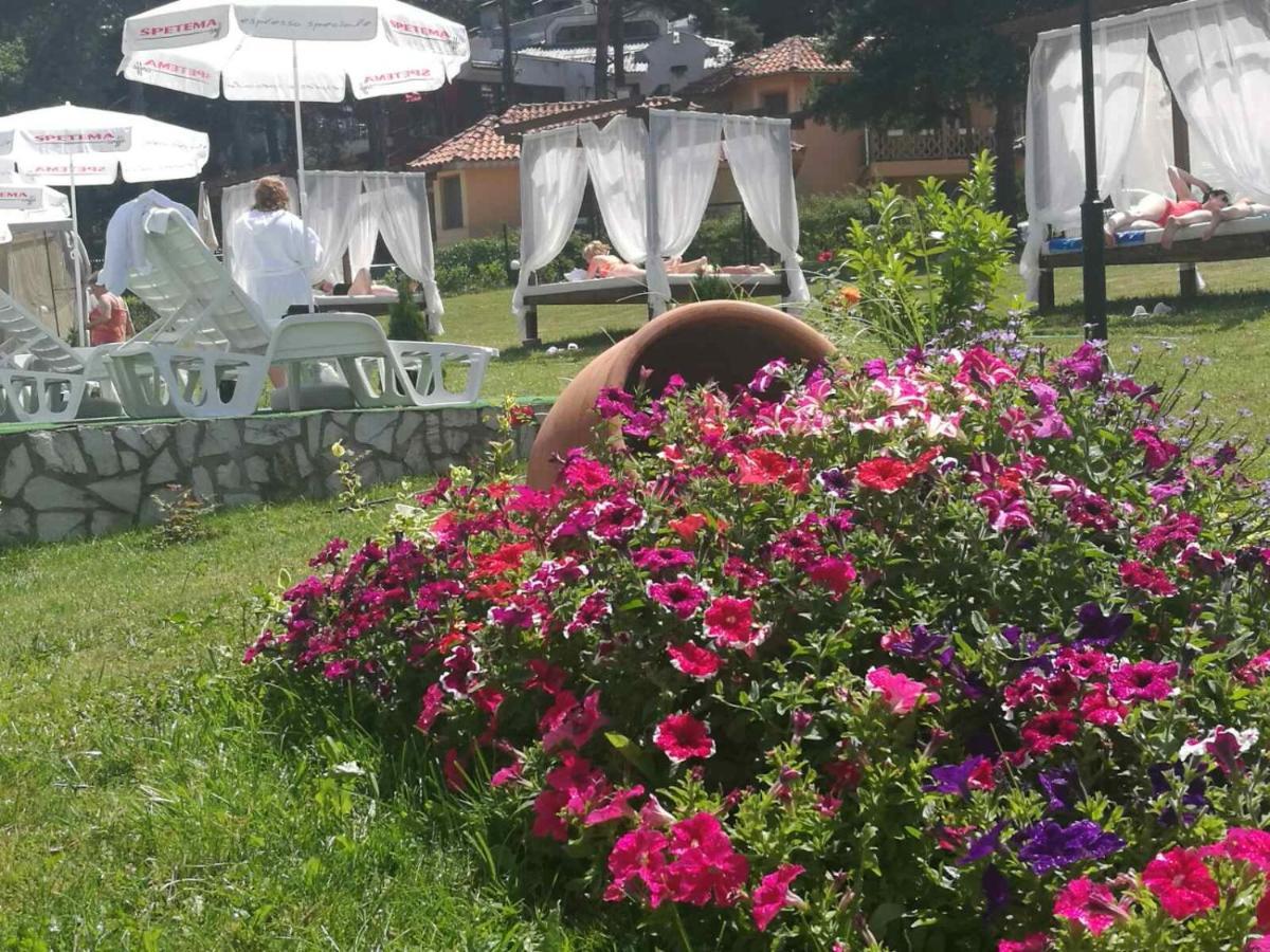 Paradise Spa Hotel Tsigov Chark Exterior photo